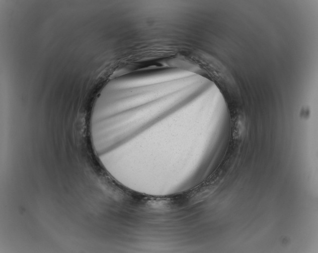 X0000091950560200709271328