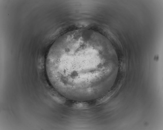 X0000091950561200709271328