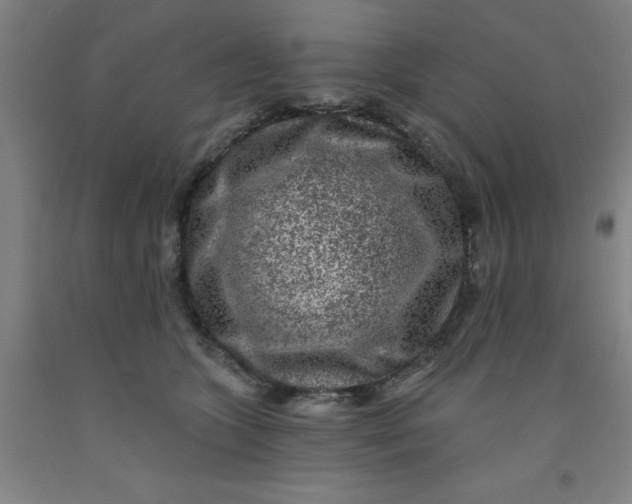 X0000091950563200709271328