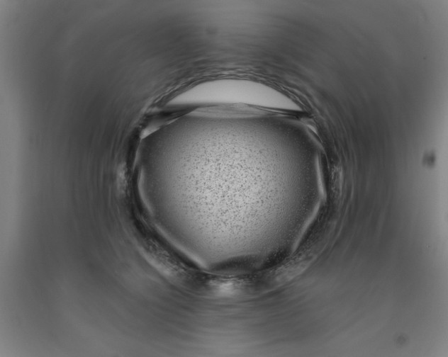 X0000091950564200709271328