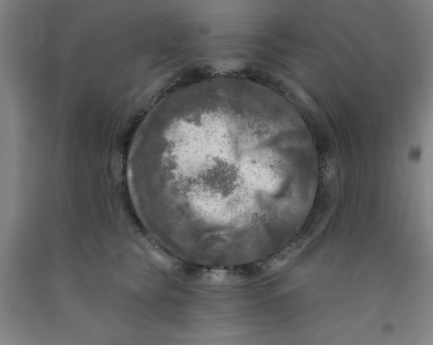 X0000091950565200709271328