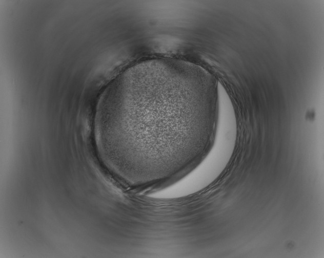 X0000091950566200709271328