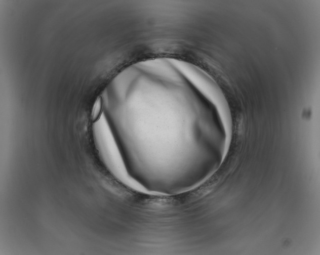 X0000091950567200709271328