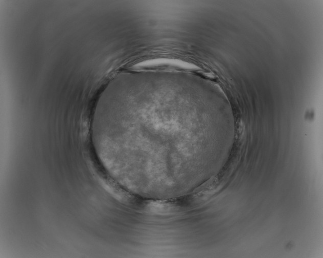 X0000091950568200709271328