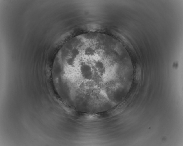 X0000091950569200709271328