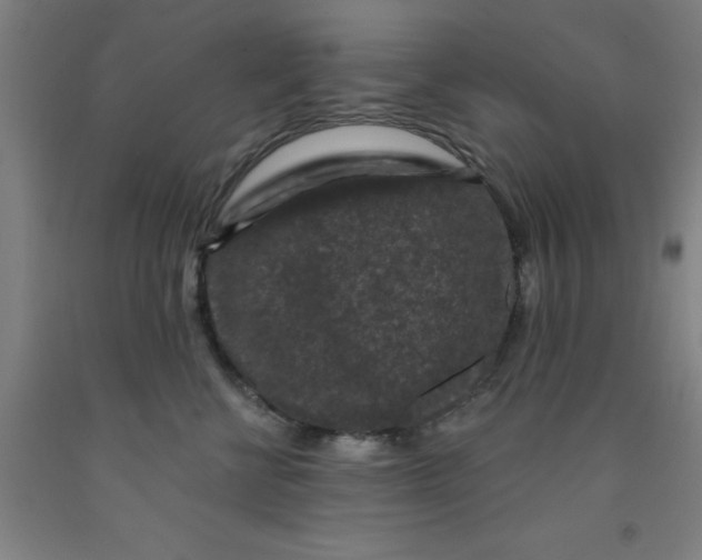 X0000091950570200709271328