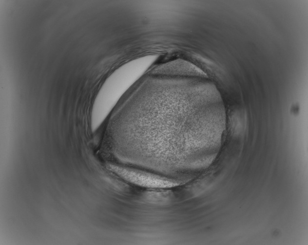 X0000091950571200709271328