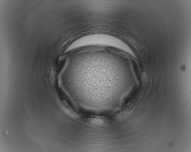 X0000091950572200709271328