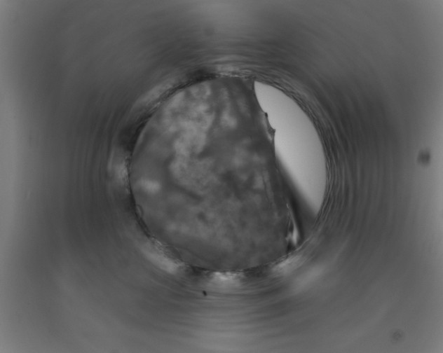 X0000091950573200709271328