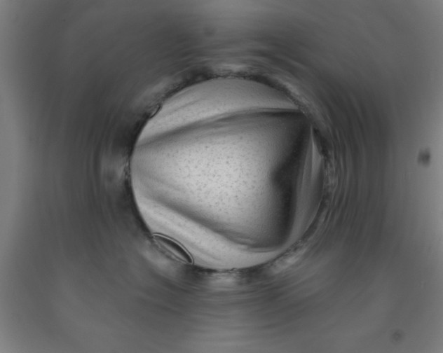 X0000091950574200709271328