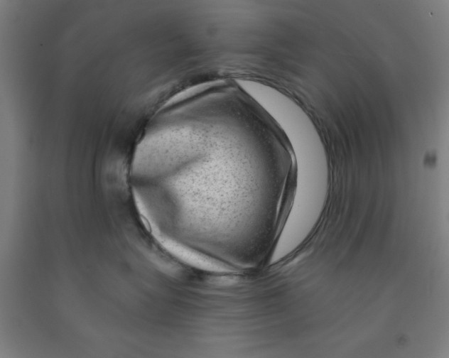 X0000091950575200709271328