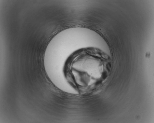 X0000091950576200709271328