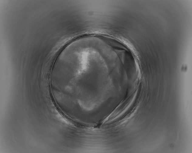 X0000091950577200709271328