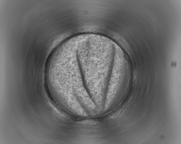 X0000091950578200709271327