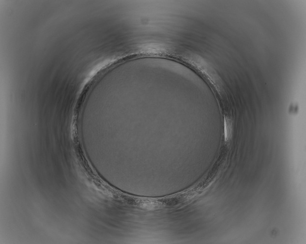 X0000091950579200709271327