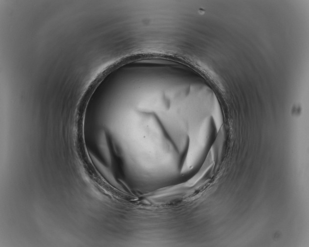 X0000091950580200709271327