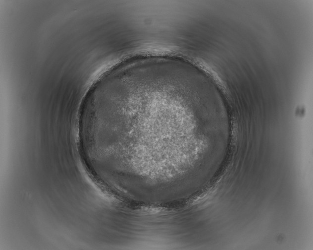 X0000091950582200709271327