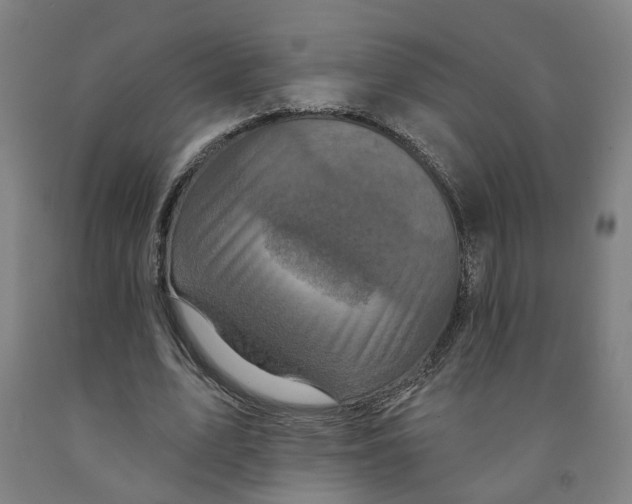 X0000091950583200709271327