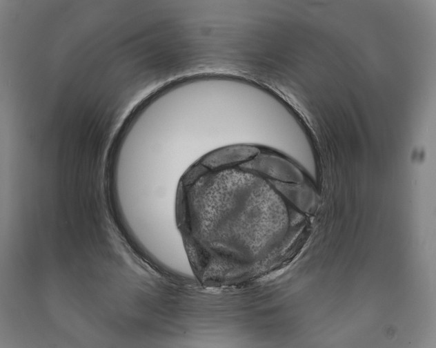 X0000091950584200709271327