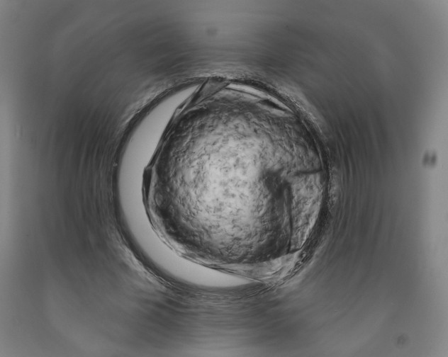 X0000091950585200709271327