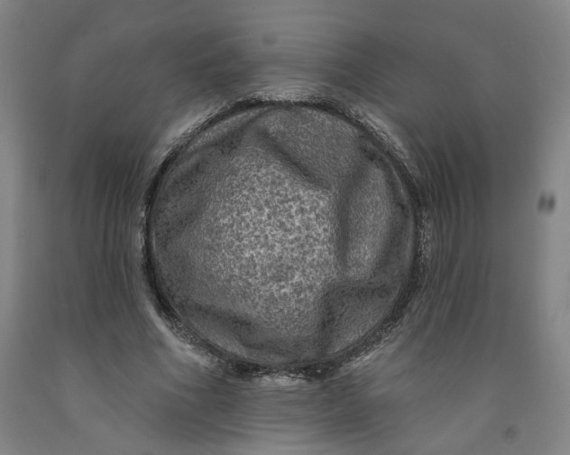 X0000091950586200709271327