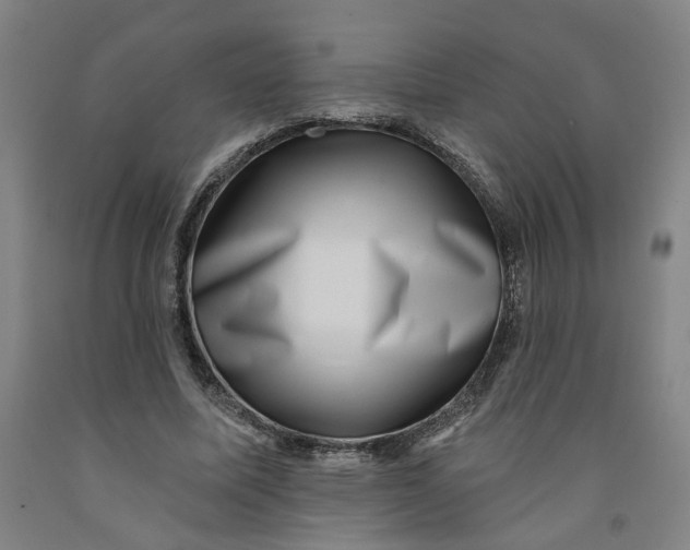 X0000091950587200709271327