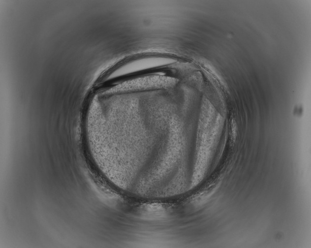 X0000091950588200709271327