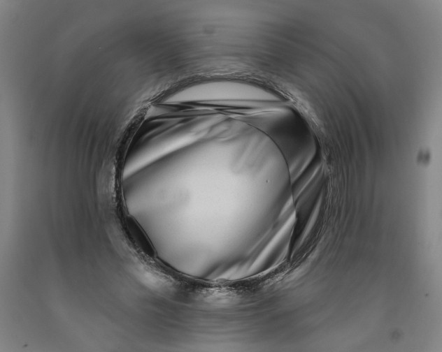 X0000091950589200709271327