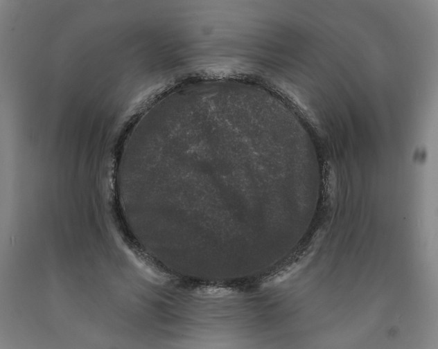 X0000091950590200709271327