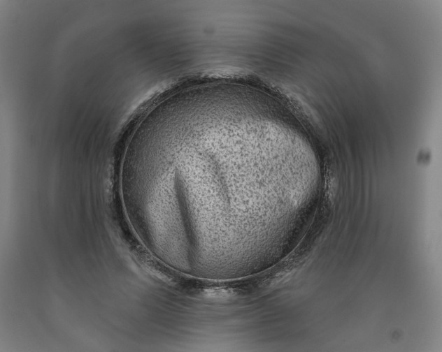 X0000091950591200709271327