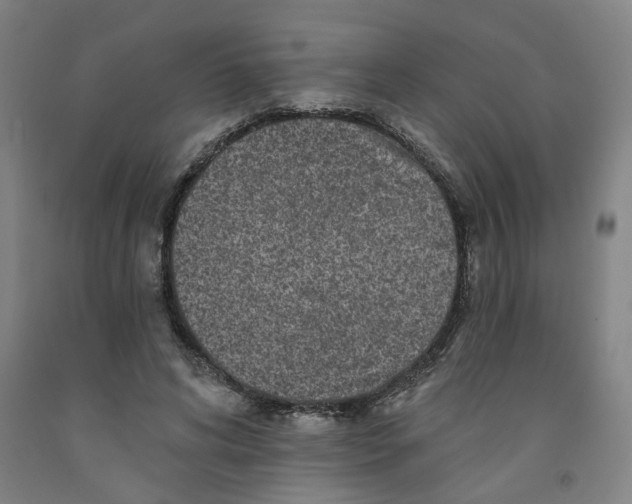 X0000091950592200709271327