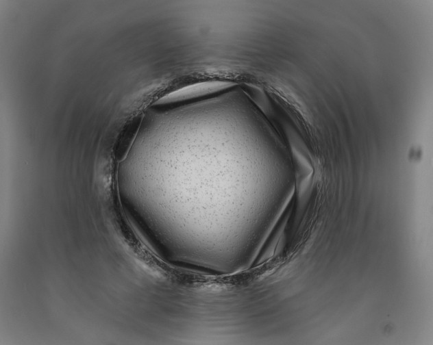 X0000091950593200709271327