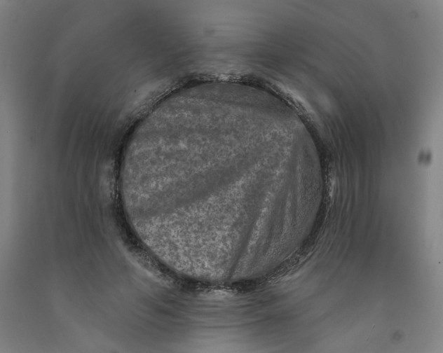 X0000091950594200709271327