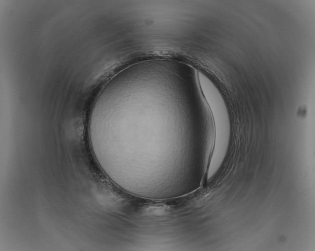 X0000091950595200709271327