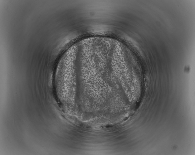 X0000091950596200709271327