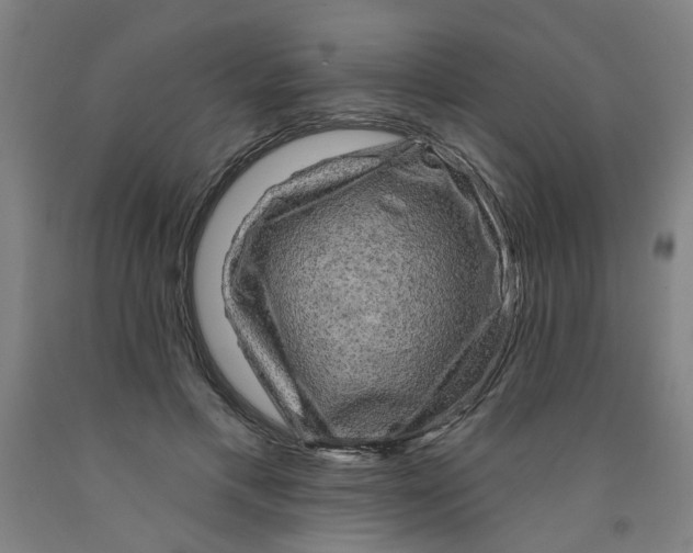 X0000091950597200709271327