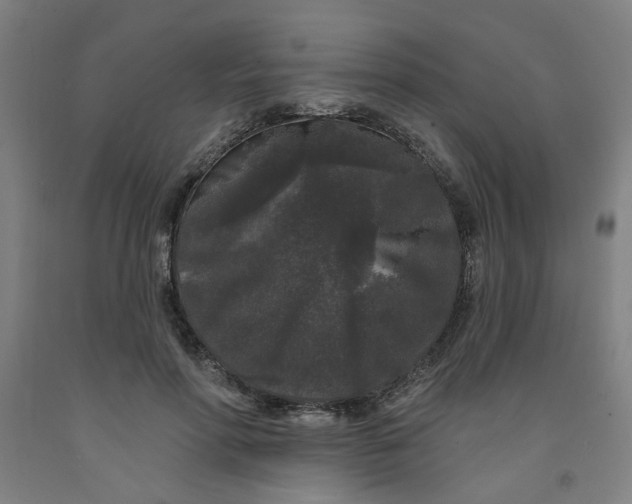 X0000091950598200709271327