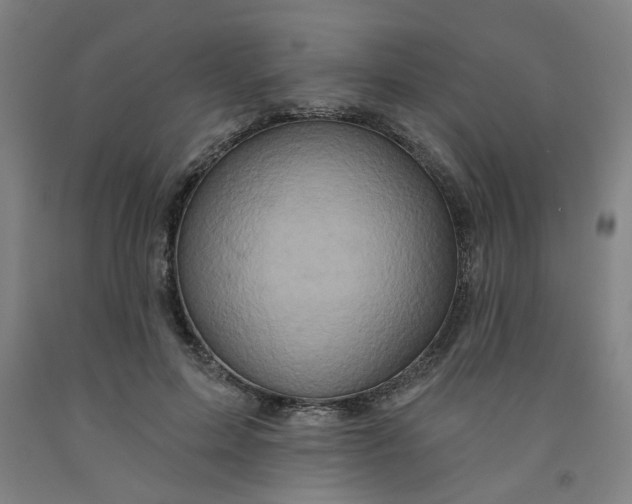 X0000091950599200709271327