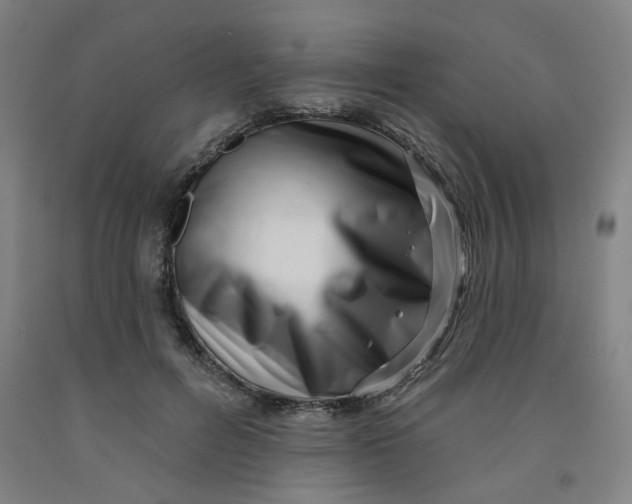 X0000091950600200709271327