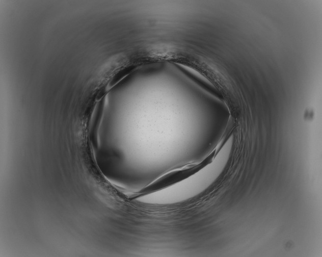 X0000091950601200709271327