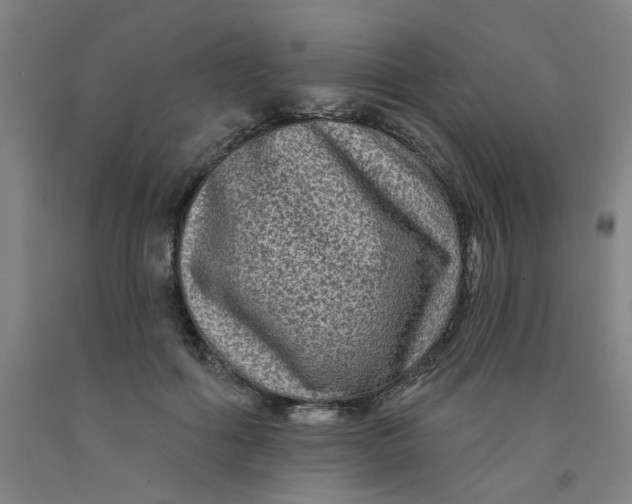 X0000091950602200709271327