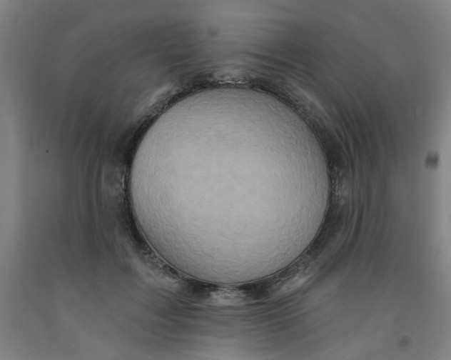 X0000091950603200709271327