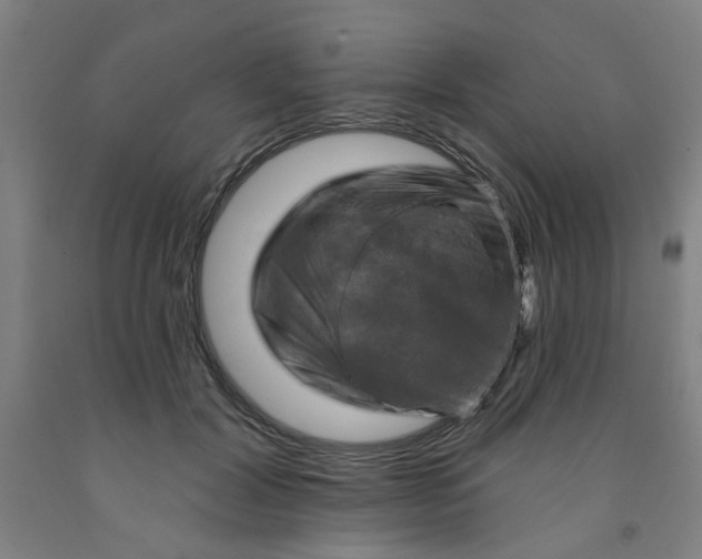 X0000091950604200709271327