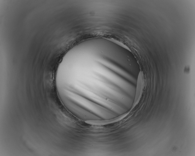 X0000091950605200709271327