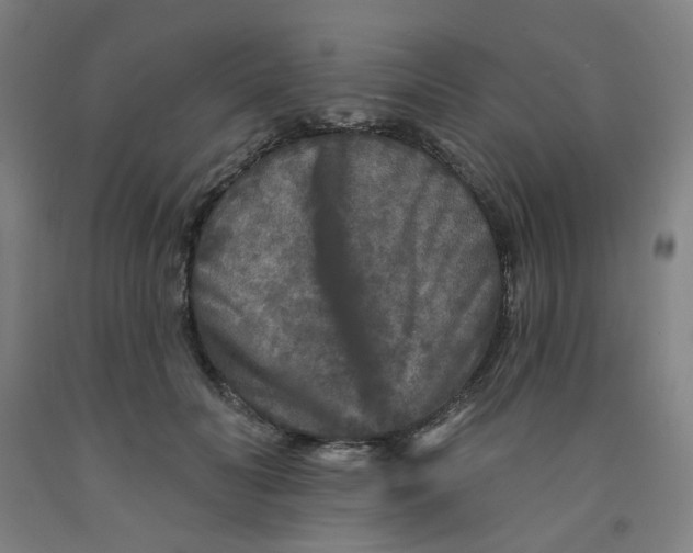 X0000091950606200709271327