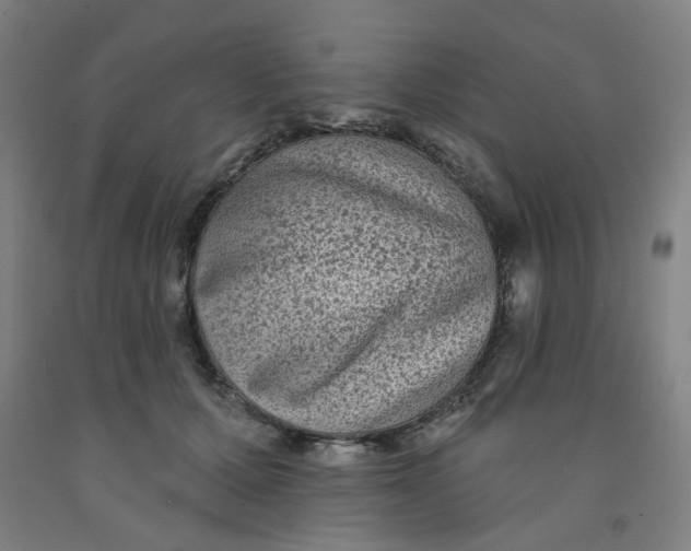 X0000091950607200709271327