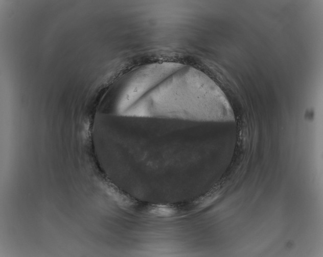 X0000091950610200709271327