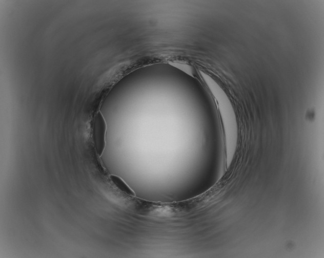 X0000091950611200709271327