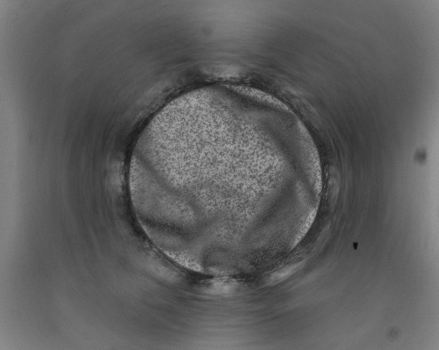 X0000091950612200709271327