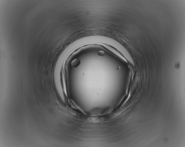 X0000091950613200709271327